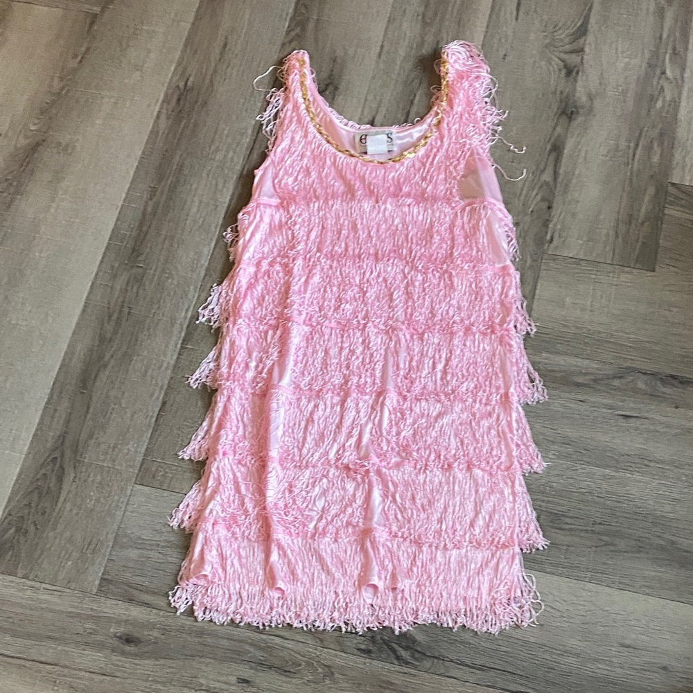 Pink Fringed Woman’s Flapper Dress